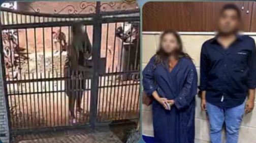 «زعم أنه ضابط».. خلاف على تقليم الأشجار ينتهي بكشف محاولة إثارة غضب المواطنين في المقطم