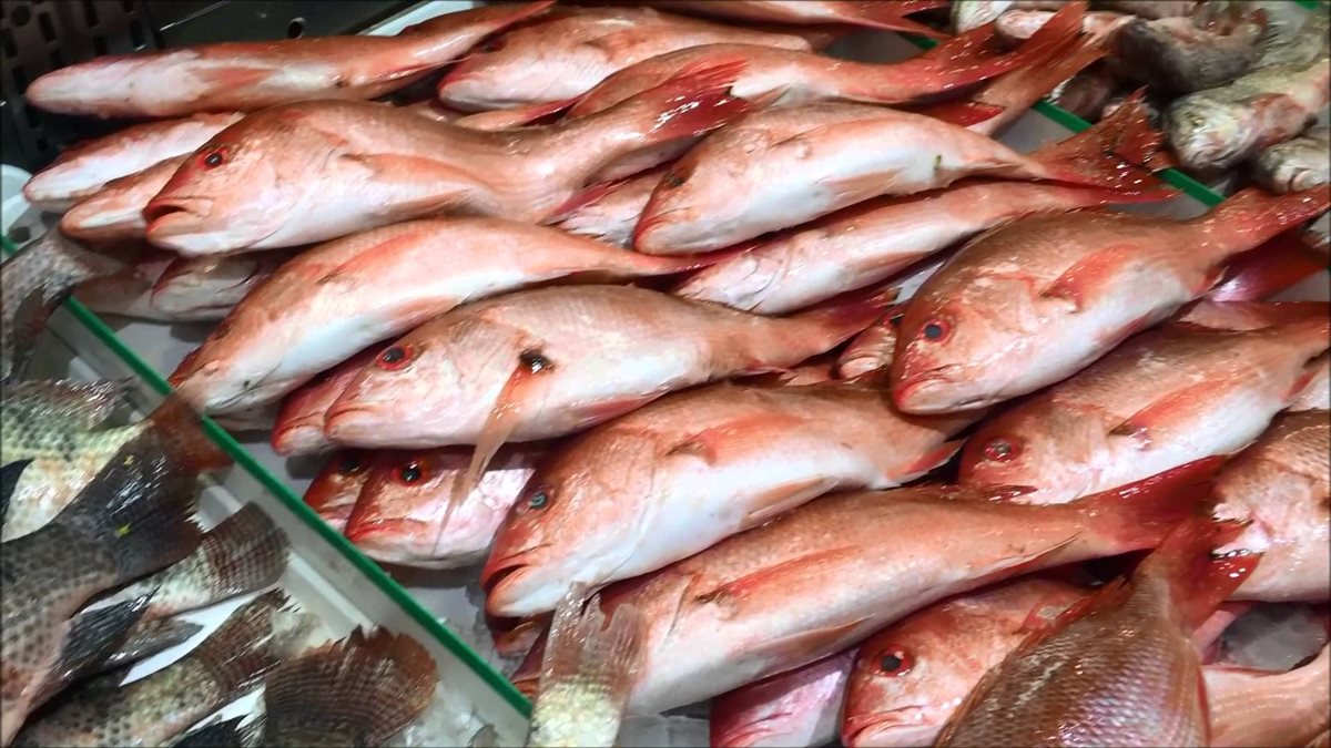 أسعار السمك اليوم، فيتو