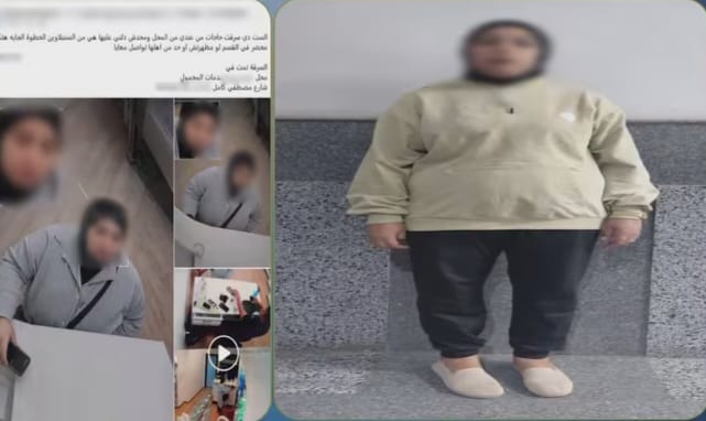 فيديو يكشف السرقة.. ضبط سيدة بعد استيلائها على سماعة هاتف من محل بالدقهلية