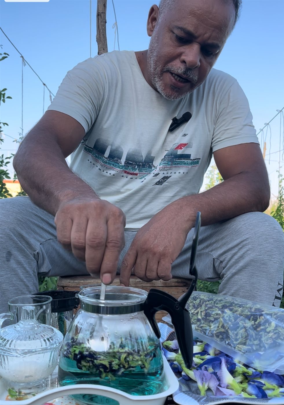 زراعة الشاي الأزرق بمصر، فيتو