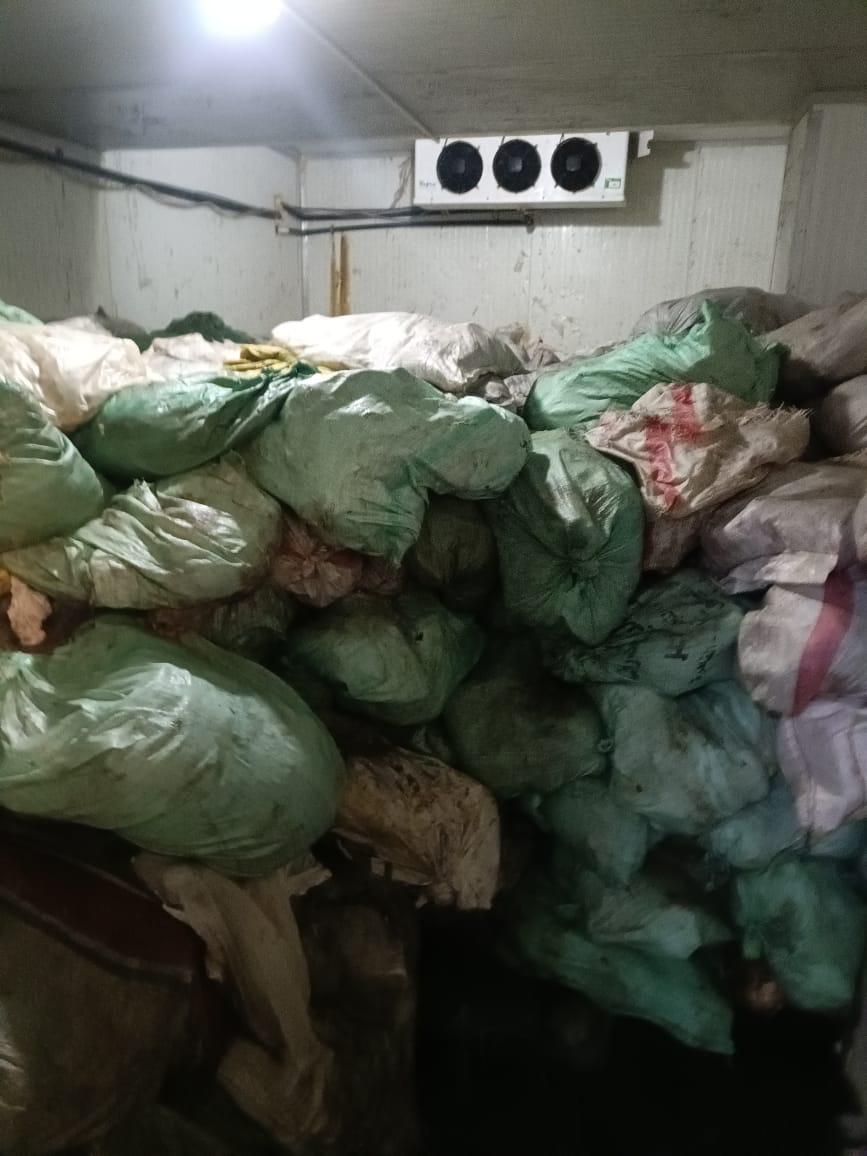 الزراعة تضبط 213 طنا من اللحوم المخالفة