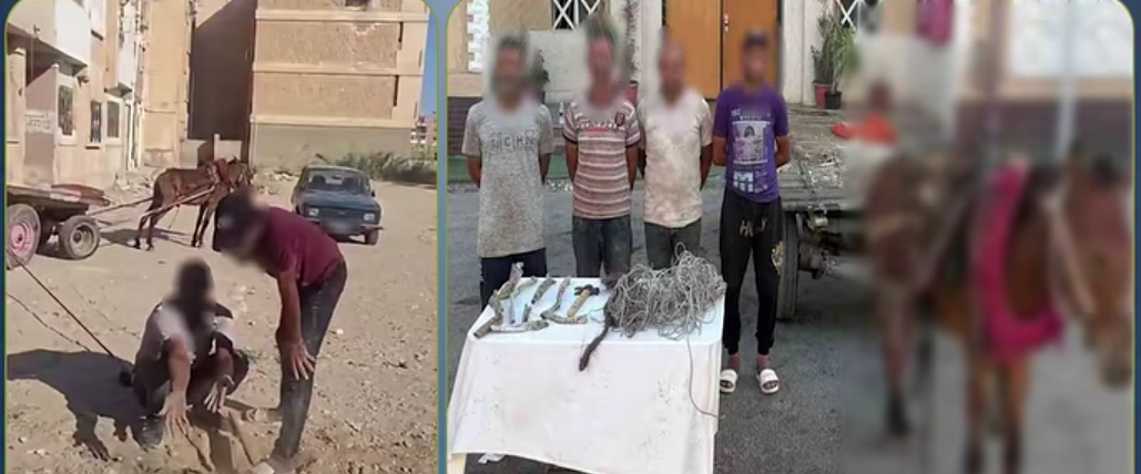 ضبط المتهمين&nbsp;