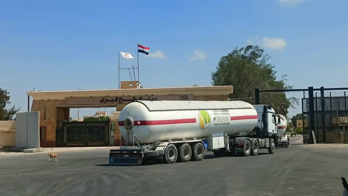 قافلة «زاد العزة.. من مصر إلى غزة» الـ275، فيتو