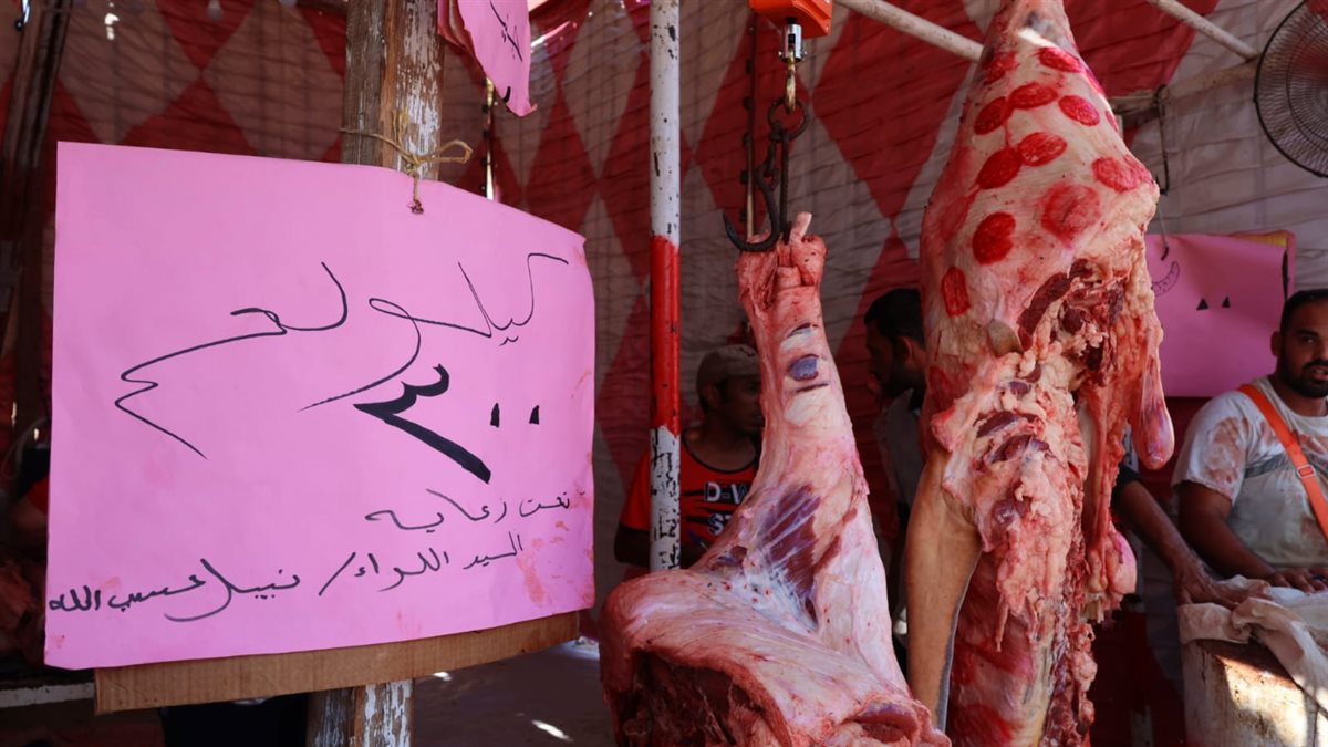 جانب من فاعليات المبادرة اليوم، فيتو