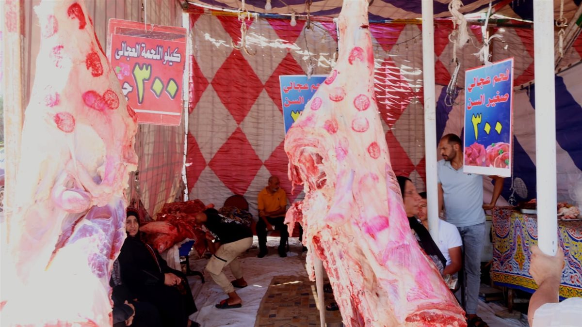 جانب من فاعليات المبادرة اليوم، فيتو