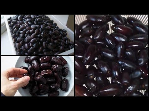 البلح الأسمر لصحة الجسم