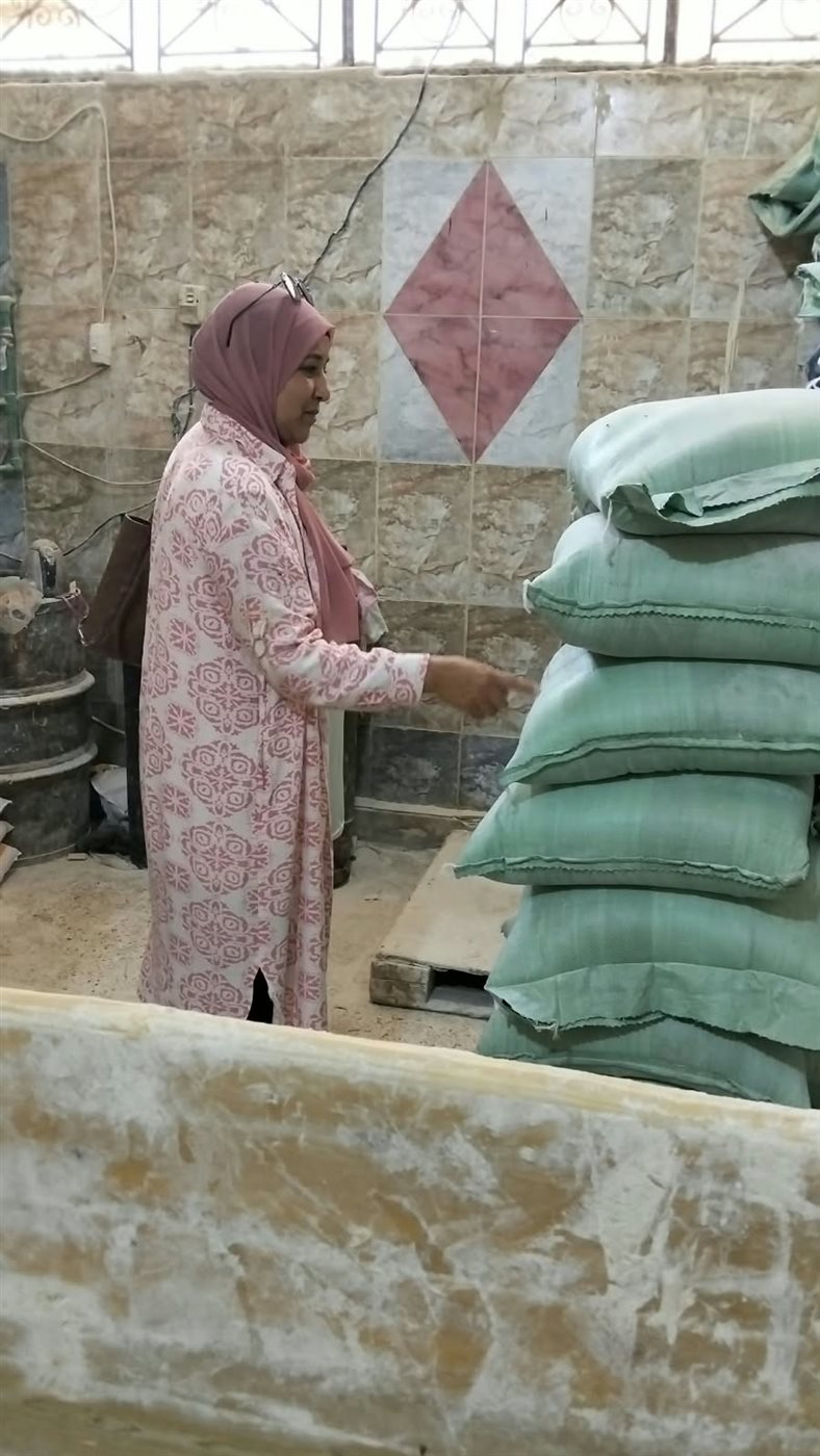 جانب من الحملات،فيتو