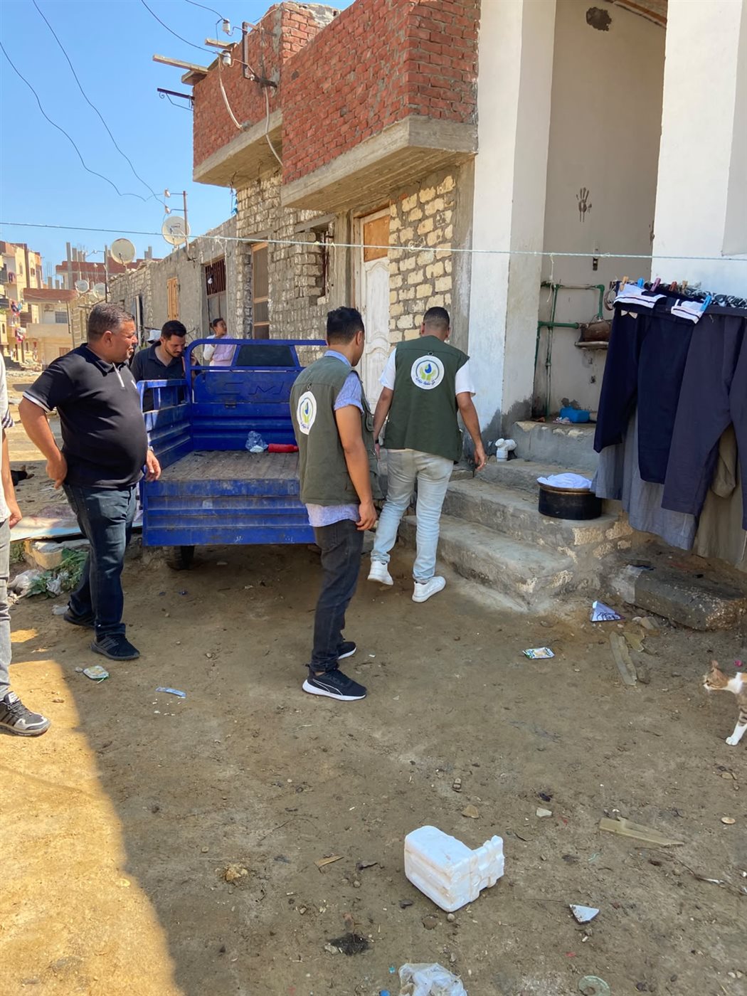 فرق البحث الميداني، فيتو