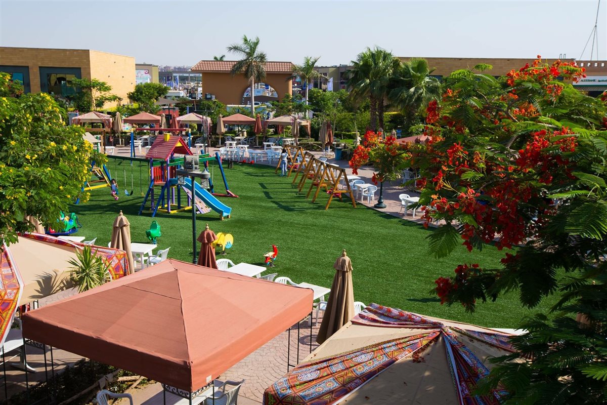 عضويات وادي دجلة