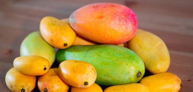 اسعار المانجو اليوم، فيتو