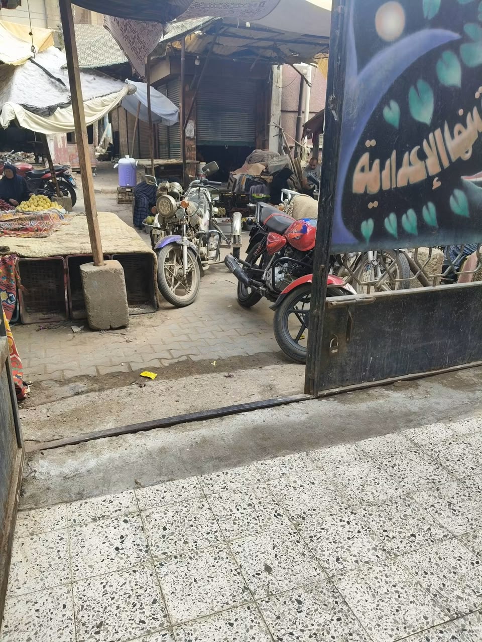 عشوائية سور مدرسة ببنها،فيتو
