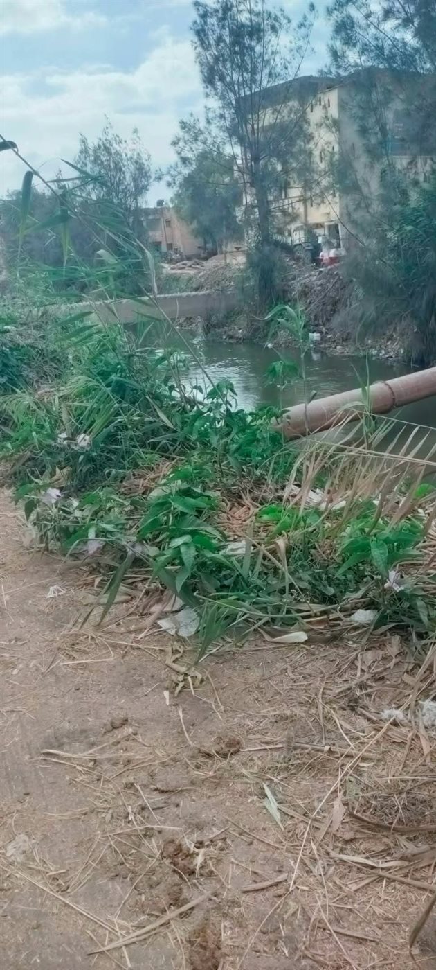 قرية مطاوع عيسى بالبحيرة