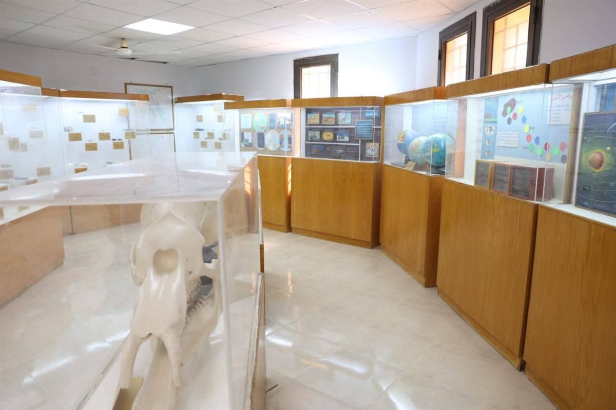 احتفالًا بالعيد القومي، «مركز تنمية إقليم شمال ووسط الصعيد» بالوادي الجديد يفتح أبوابه مجانًا
