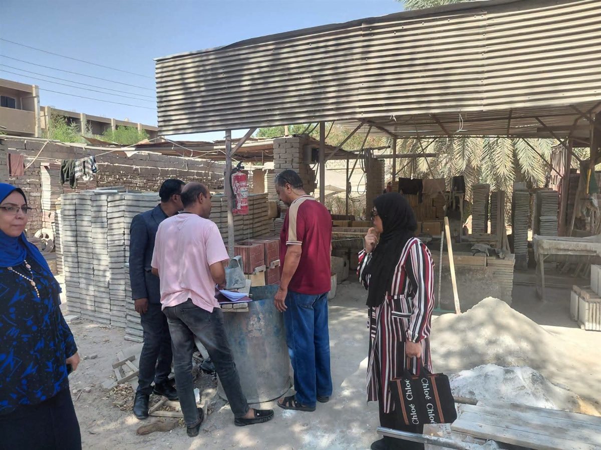 "العمل" تنفذ حملات تفتيشية على منشآت المنطقة الصناعية بالوادي الجديد
