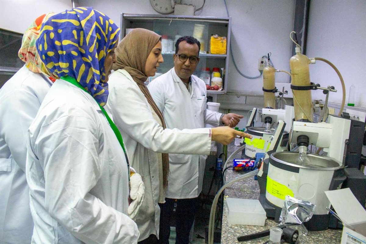 «متبقيات المبيدات» يختتم برنامجًا دوليًا لتدريب كوادر موريتانية على تحليل العقاقير البيطرية
