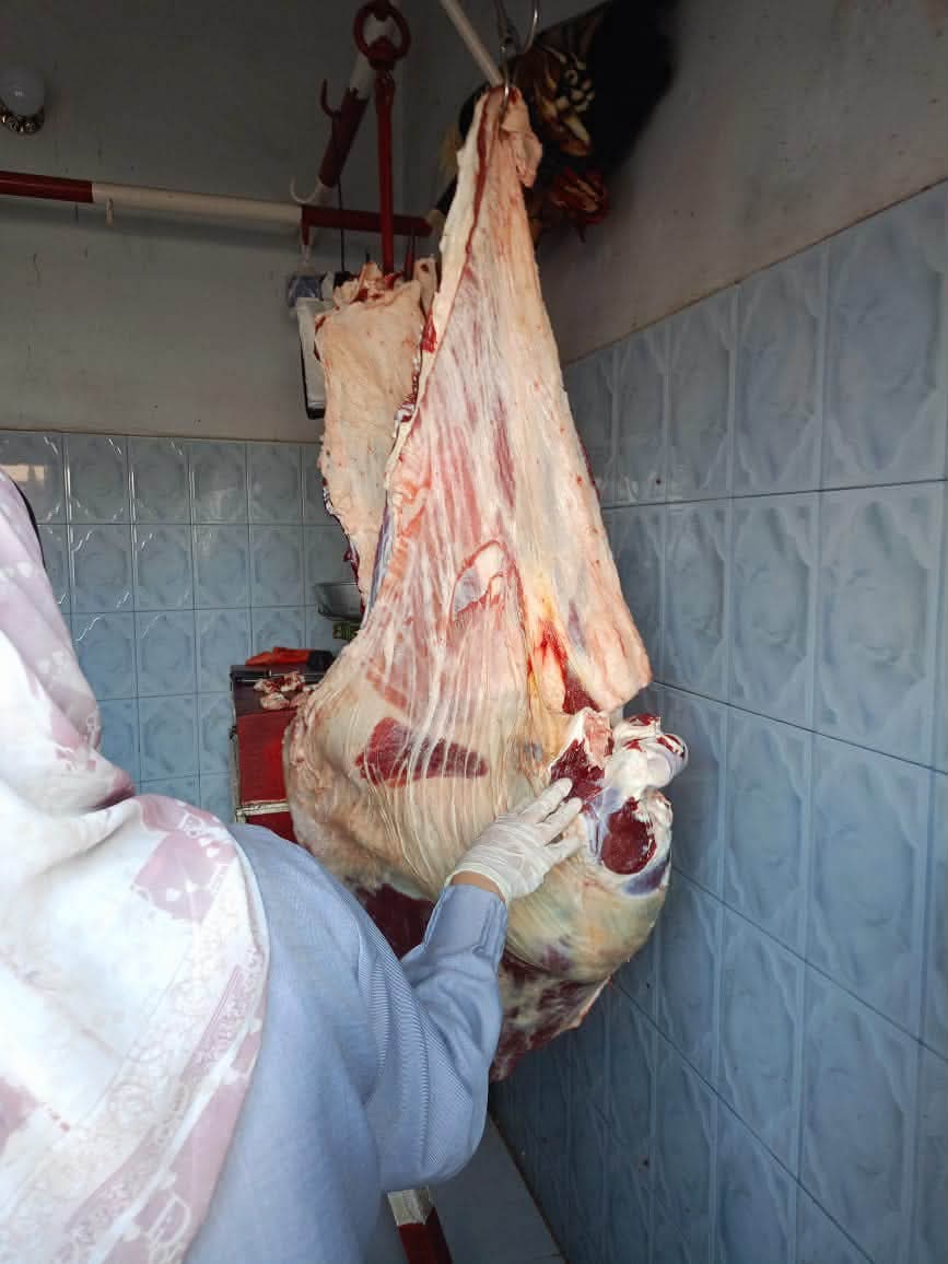 ضبط لحوم فاسدة ومذبوحة خارج المجازر في حملة مكبرة بدمياط