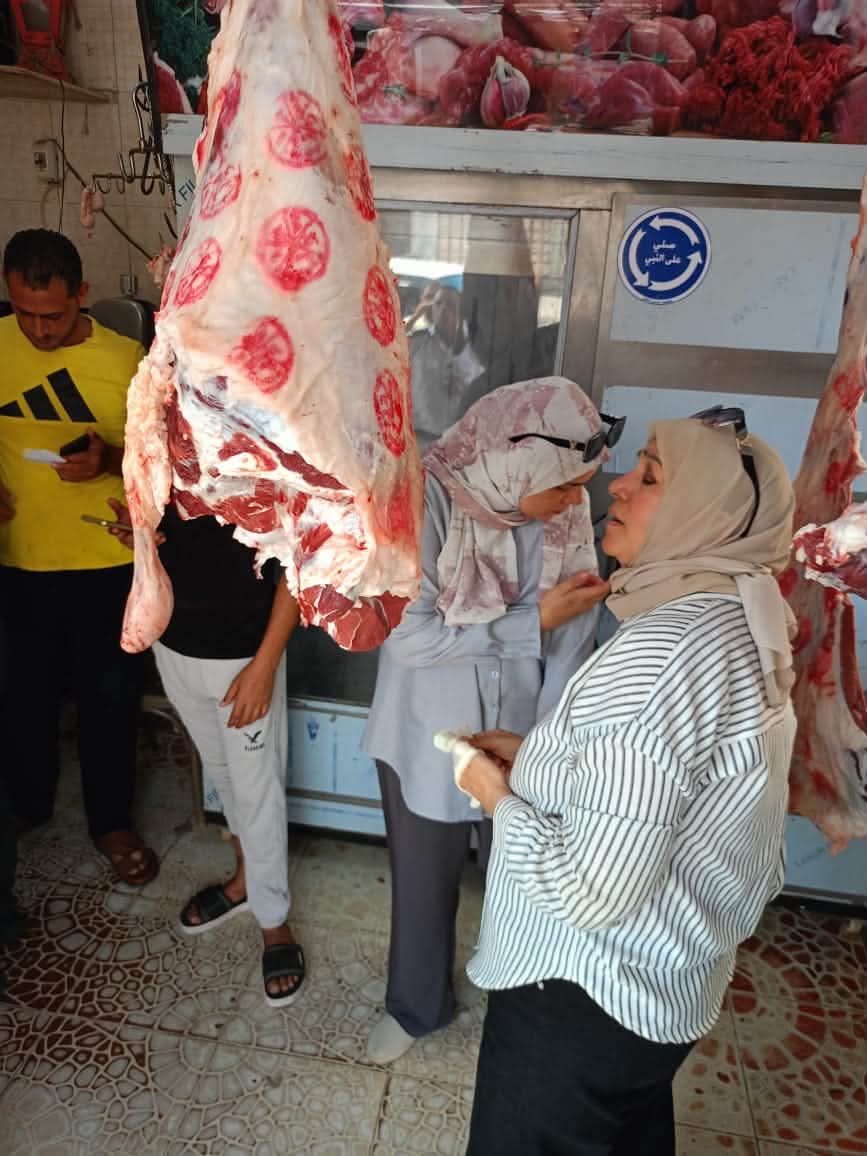 ضبط لحوم فاسدة ومذبوحة خارج المجازر في حملة مكبرة بدمياط