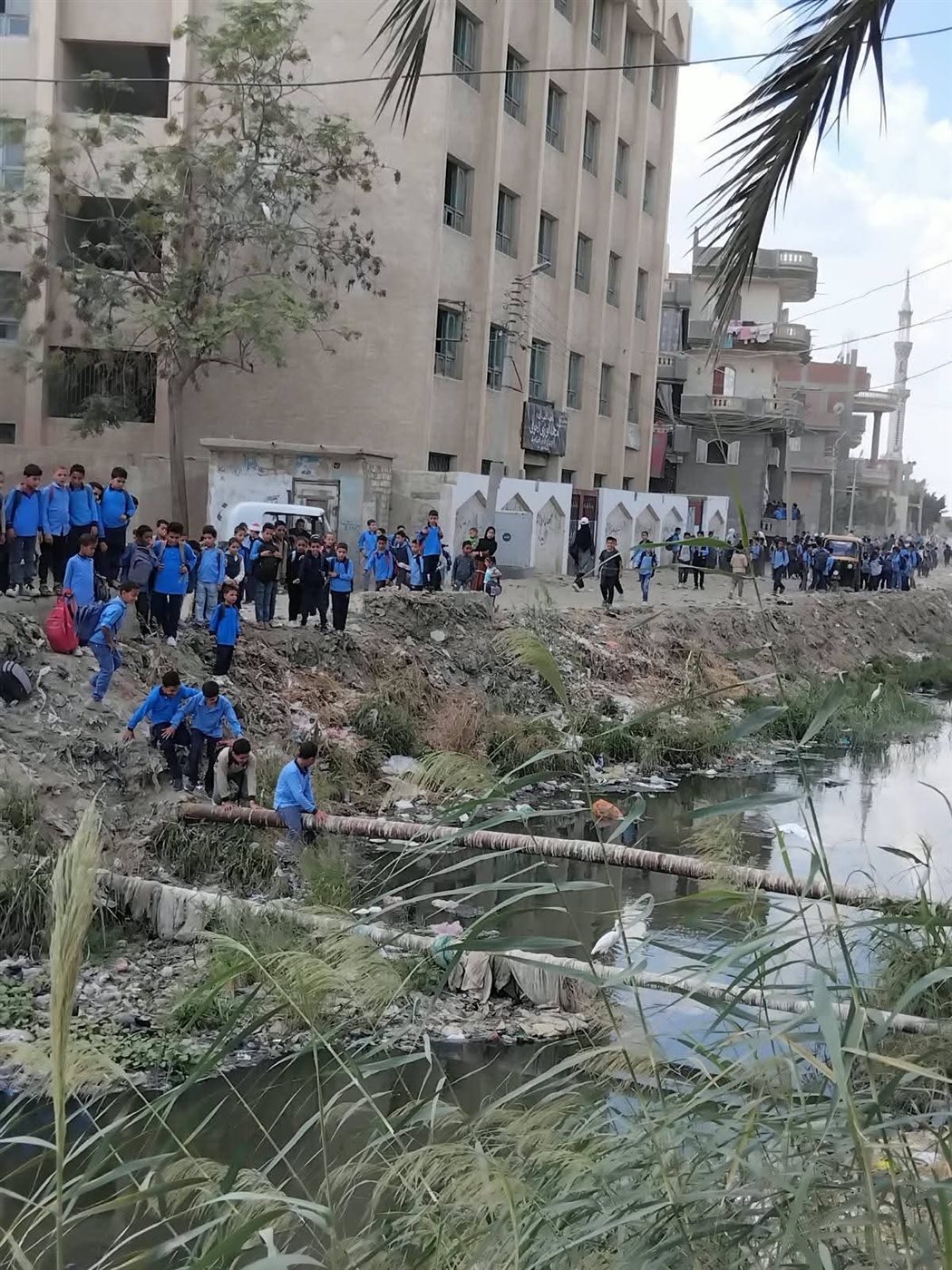 بعد أزمة «ماسورة» مطاوع عيسى، التلاميذ يواجهون الخطر نفسه بـ"الصفاصيف" في البحيرة