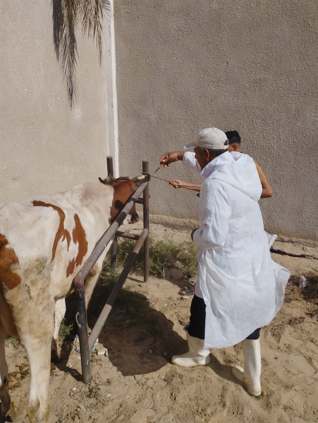 جانب من الحملات