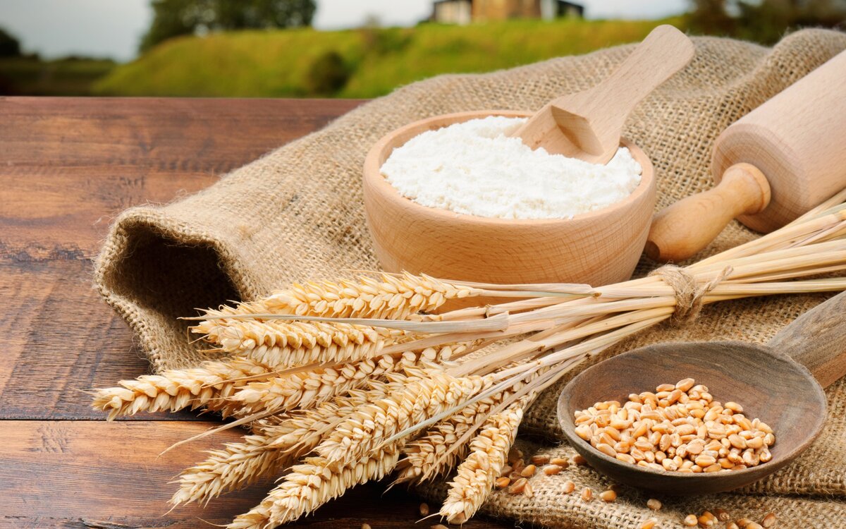 اسعار الدقيق اليوم الثلاثاء - فيتو