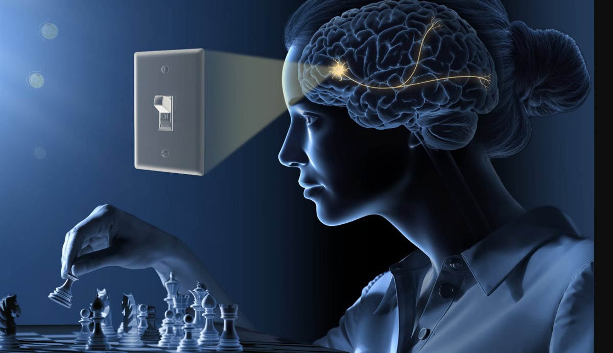حركة الضوء داخل دماغ الإنسان