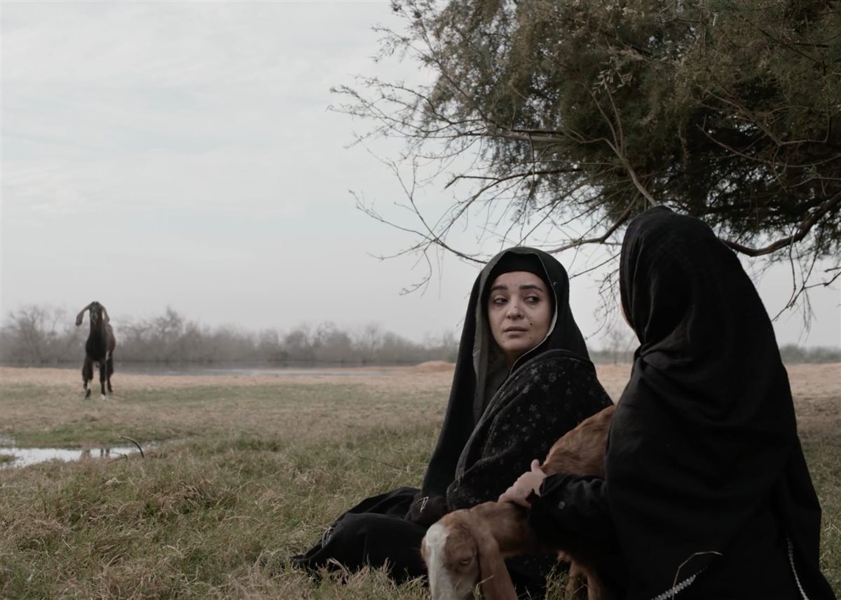 تعرف على الأفلام المصرية المشاركة بمسابقات مهرجان الجونة السينمائي في دورته التاسعة