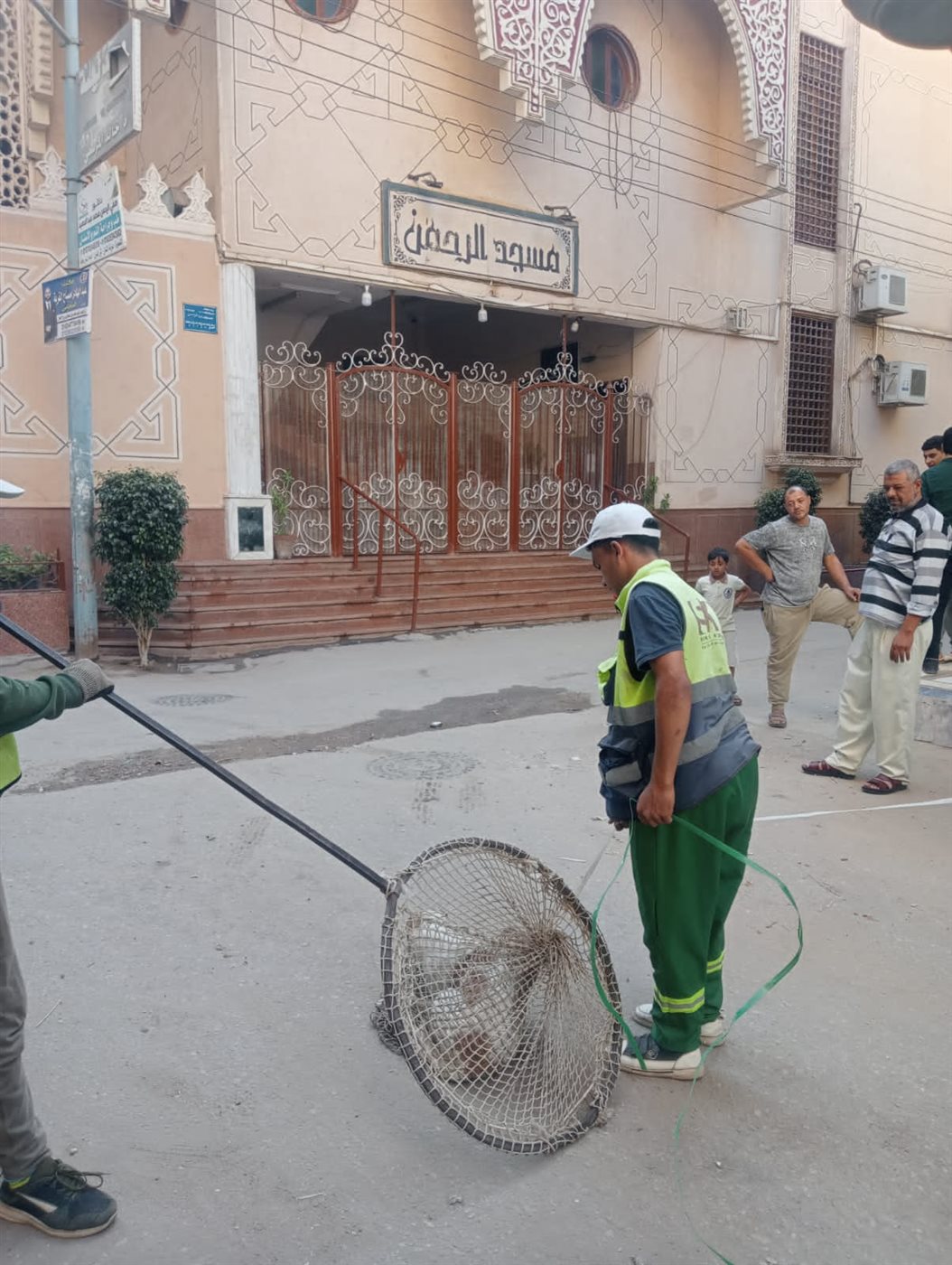 تكثيف الحملات بالمناطق الأكثر انتشارا للكلاب الضالة بالدقهلية (صور)