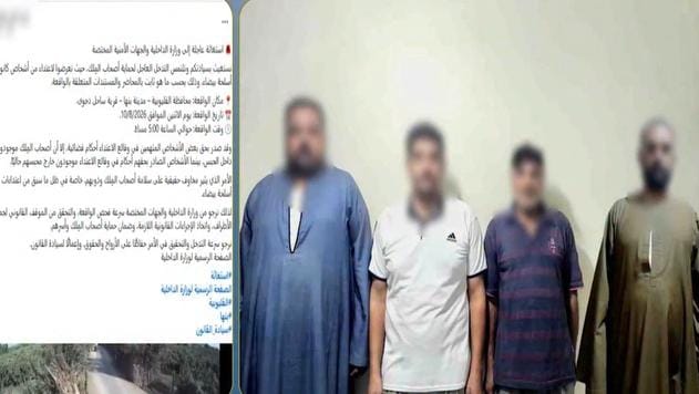 فيديو متداول يكشف الحقيقة.. مشاجرة بين مزارعين بسبب أرض مستأجرة في بنها
