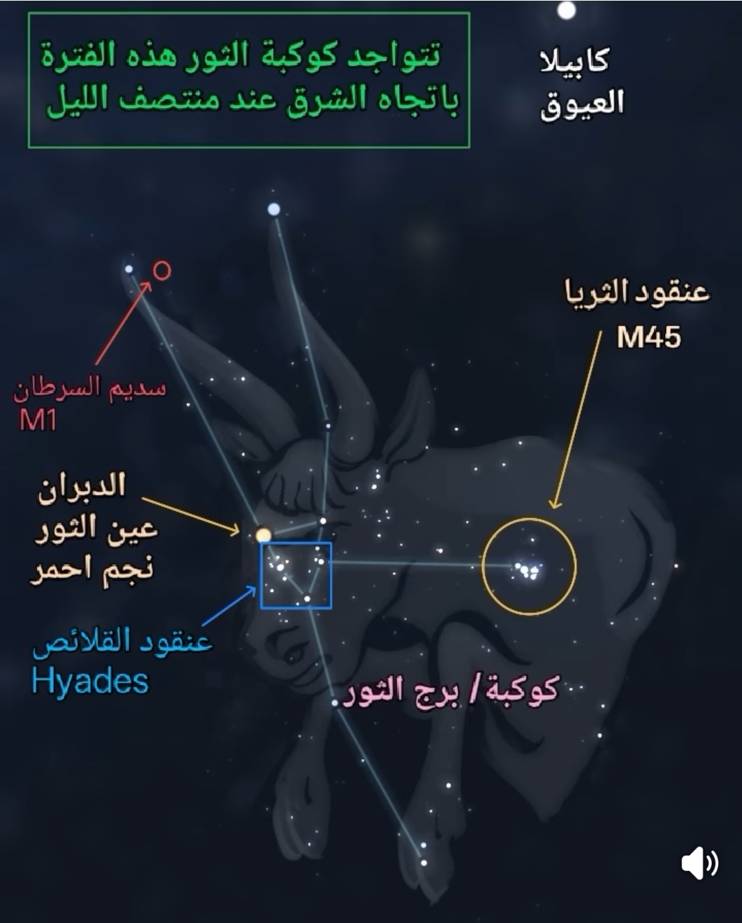 لو بتحب رصد النجوم، اعرف إزاي تكتشف كوكبة الثور في السماء