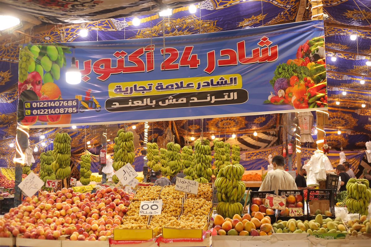جانب من المبادرة