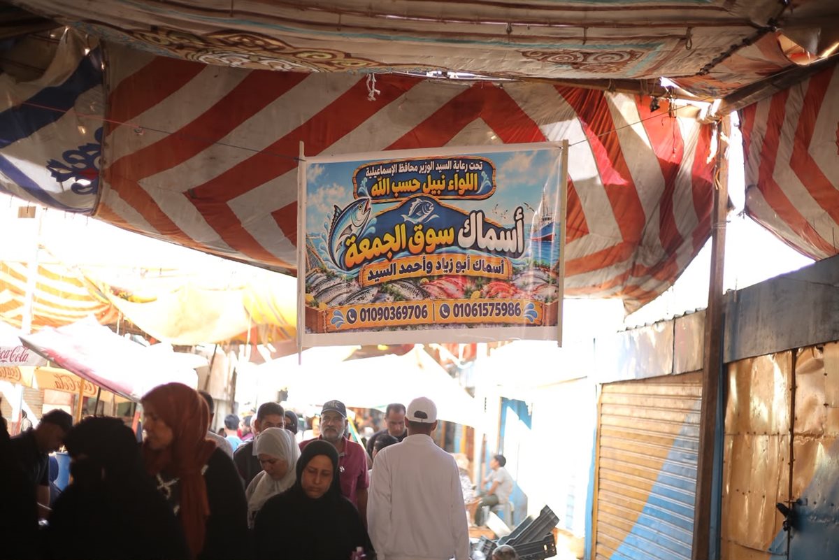 جانب من مبادرة تخفيض أسعار الأسماك اليوم،فيتو