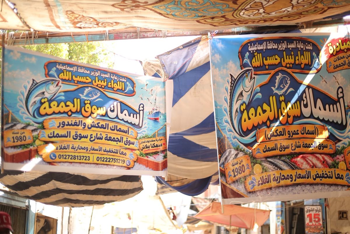 جانب من مبادرة تخفيض أسعار الأسماك اليوم،فيتو