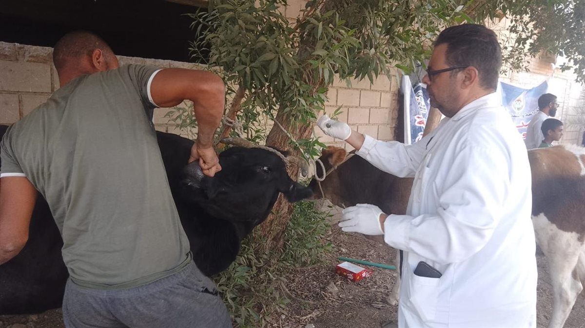 "الزراعة" تكشف حصاد البحوث الزراعية في أسبوع.. تحليل آلاف العينات وتدريب الباحثين ودعم الصادرات