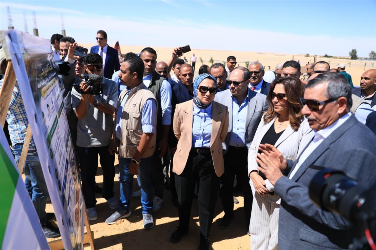 مليون نخلة و1500 فرصة عمل، تفاصيل إنشاء مجمع التمور بالوادي الجديد