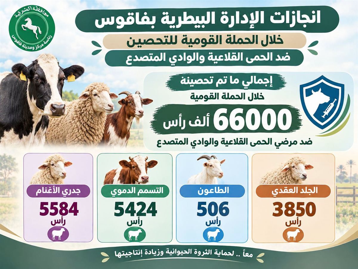 بيطرى الشرقية: تحصين 66 ألف رأس ماشية ضد الحمى القلاعية والوادي المتصدع في فاقوس