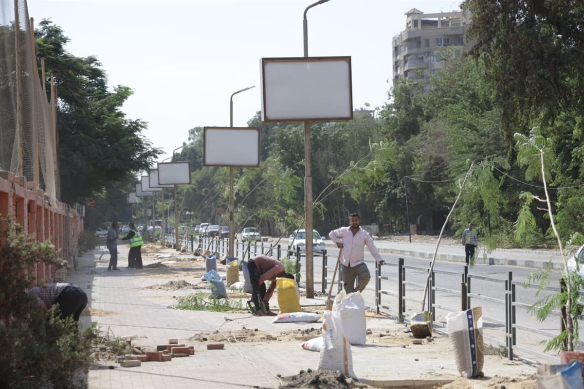 220 شجرة جديدة في المعادي، تعرف على أنواعها ومواقع زراعتها
