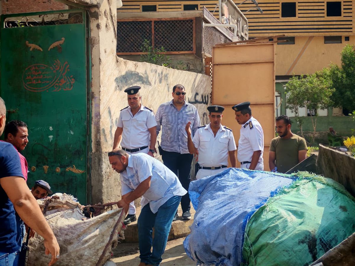 حملات لإزالة مخازن الفرز والخردة في الجيزة