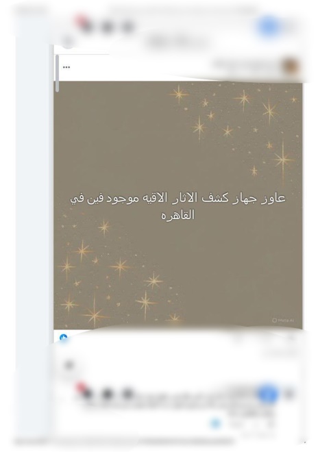 إعلان عن شراء جهاز للكشف عن الآثار.. خدعة إلكترونية تنتهي بضبط عاطل في البحيرة