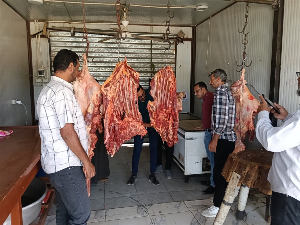 ضبط 154 كيلو لحوم غير صالحة في حملة تموينية بالوادي الجديد