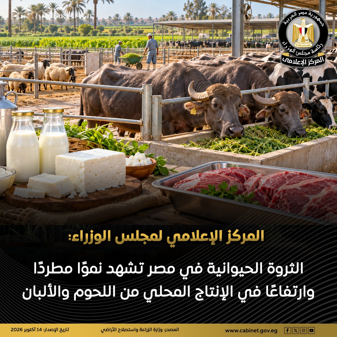 هل فقدت مصر نصف ثروتها الحيوانية؟.. الحكومة تكشف الحقيقة بالأرقام