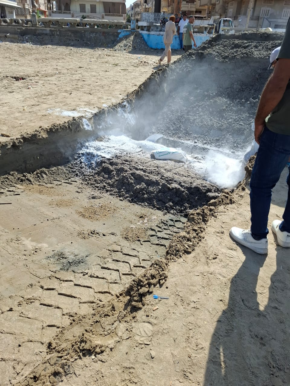 شباك الصيد وراء نفوق دولفين رأس البر.. ودفنه على عمق 3 أمتار