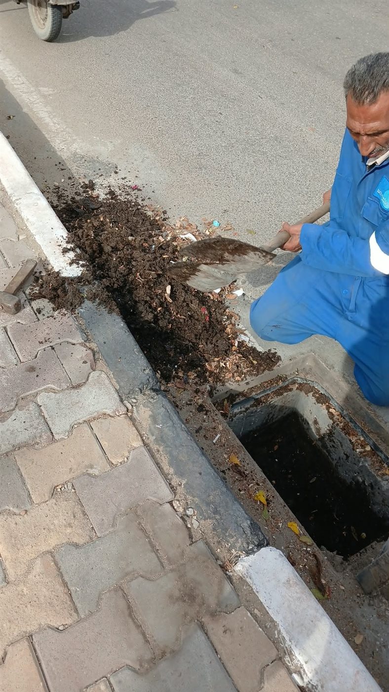 أعمال التطهير،فيتو