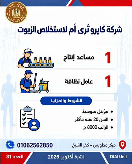 توفير 2541 فرصة عمل جديدة في 16 محافظة.. تعرف على أماكن التقديم