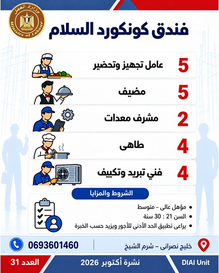 توفير 2541 فرصة عمل جديدة في 16 محافظة.. تعرف على أماكن التقديم