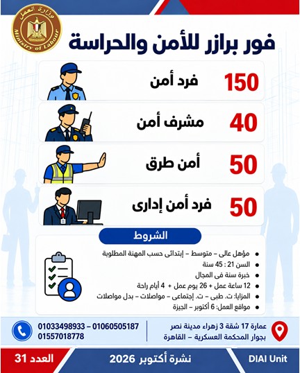 توفير 2541 فرصة عمل جديدة في 16 محافظة.. تعرف على أماكن التقديم