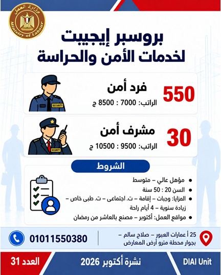 توفير 2541 فرصة عمل جديدة في 16 محافظة.. تعرف على أماكن التقديم
