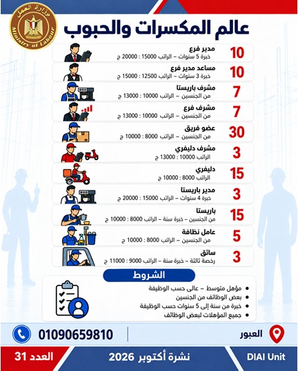 توفير 2541 فرصة عمل جديدة في 16 محافظة.. تعرف على أماكن التقديم