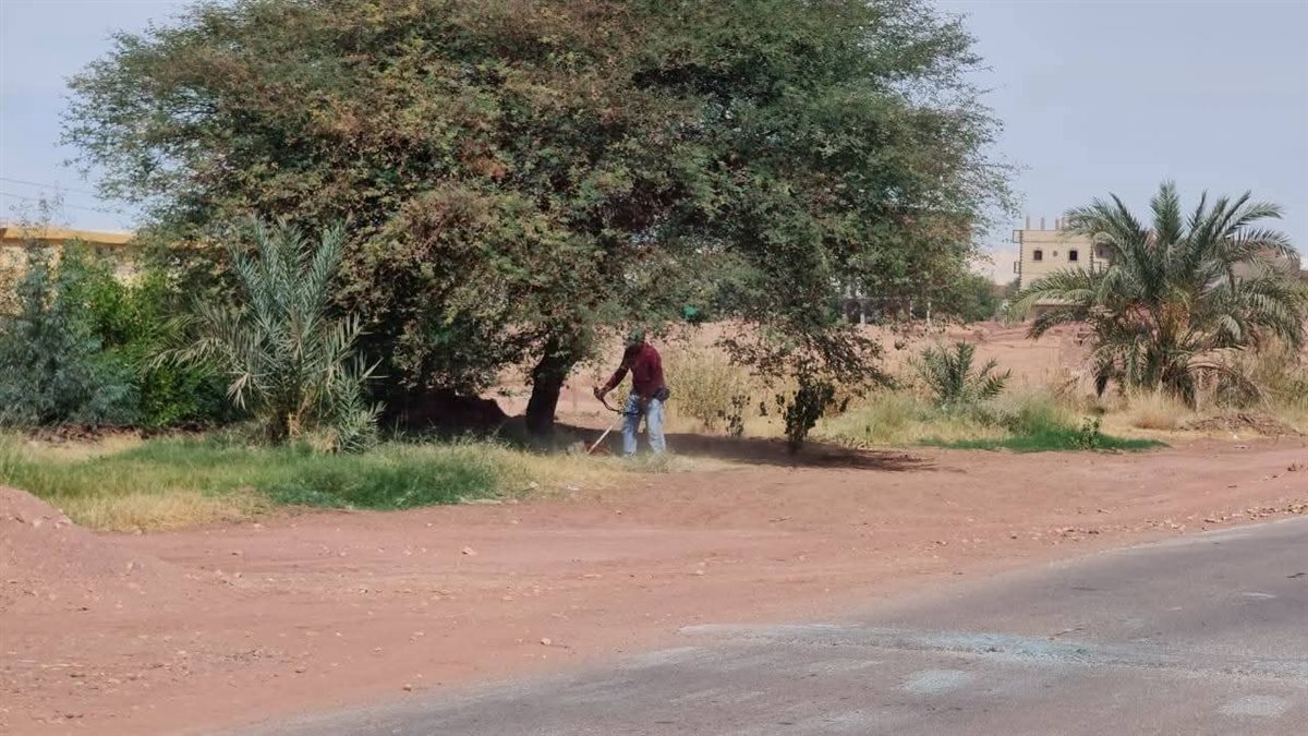 أهالي عين عيش بالوادي الجديد يتطوعون لإصلاح الطرق وتجميل القرية