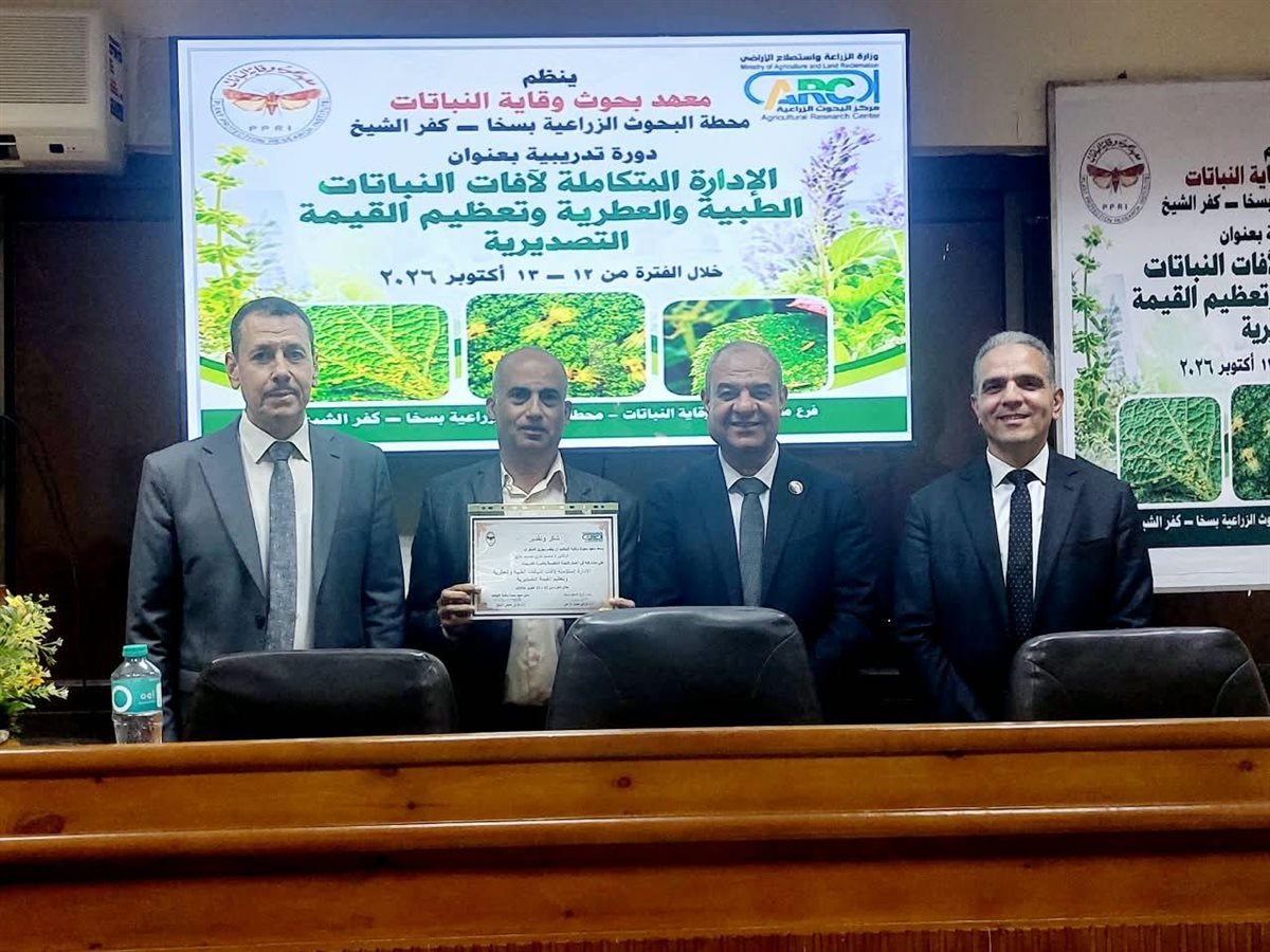 الزراعة تطور منظومة مكافحة الآفات لتعزيز صادرات النباتات الطبية والعطرية