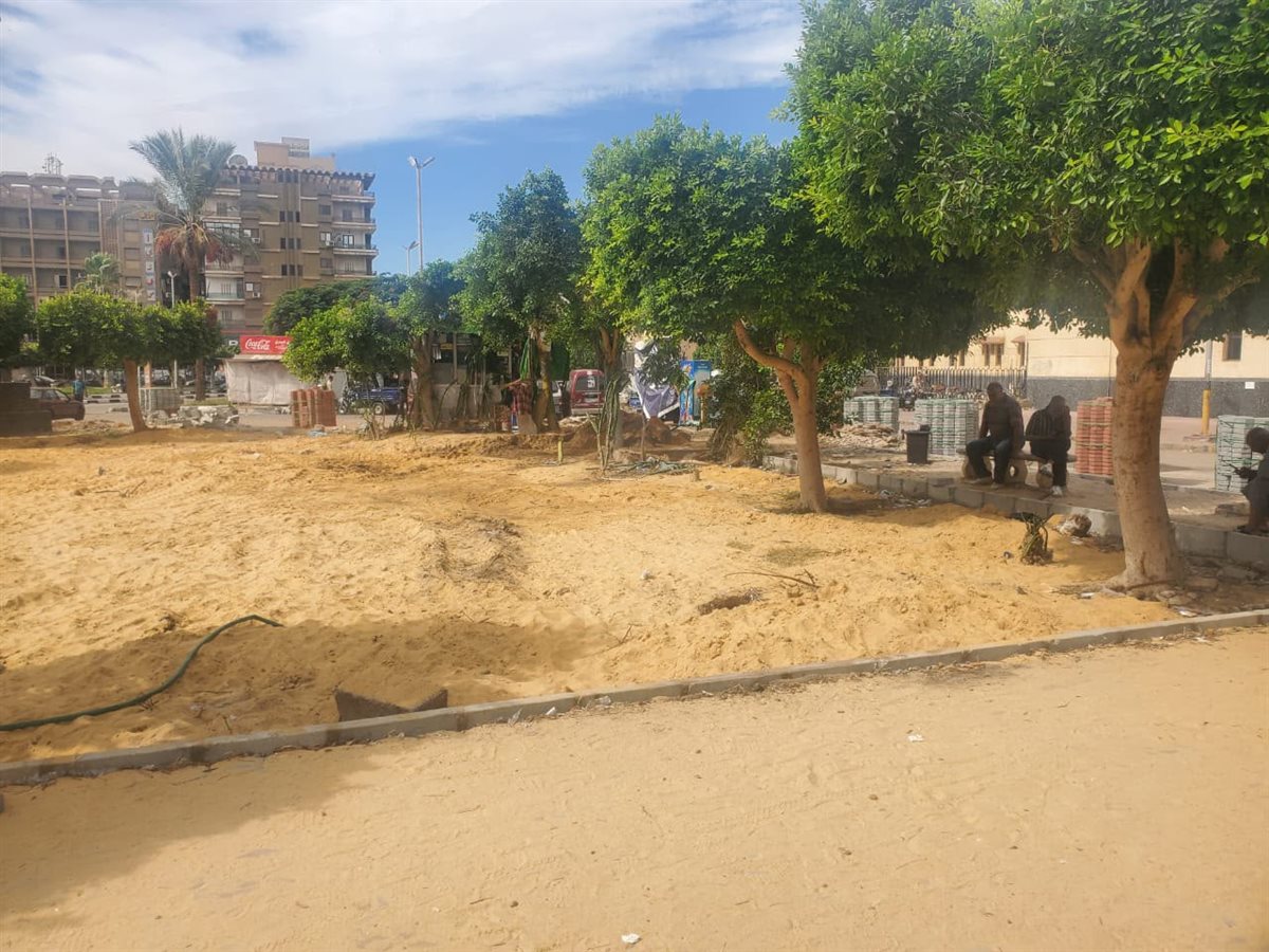جانب من أعمال صيانة وتجميل الأشجار بميدان عرابي بالإسماعيلية، فيتو